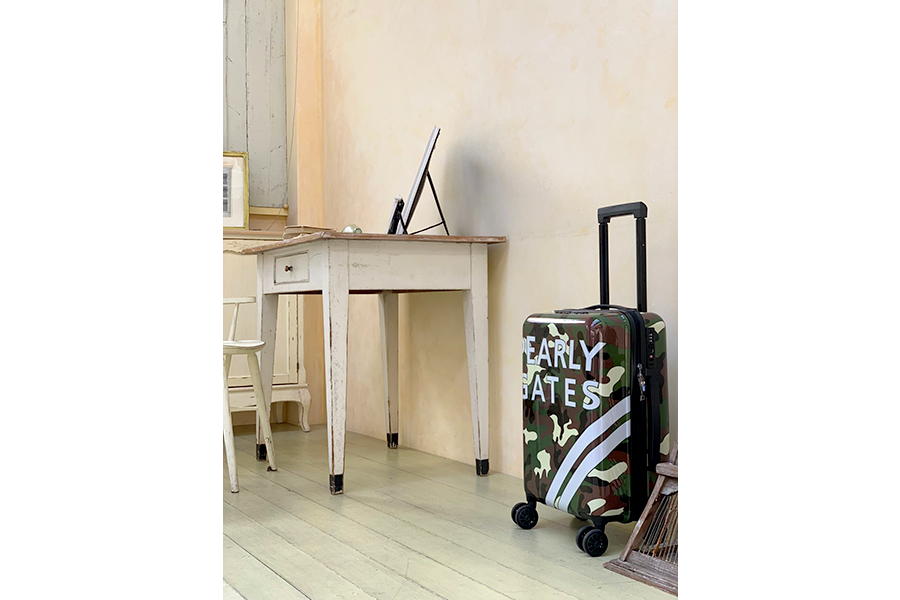 ONLINE LIMITED CARRY CASE