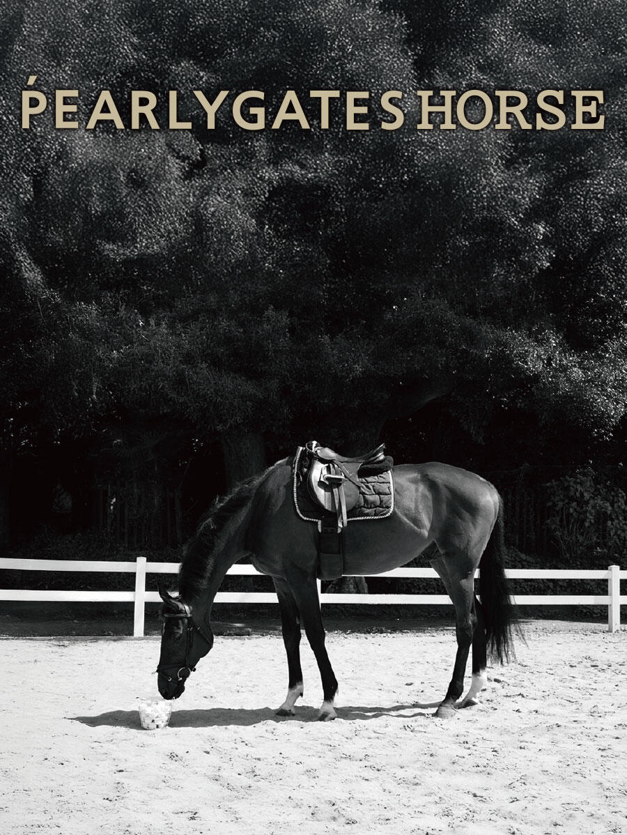 PEARLY GATES HORSE